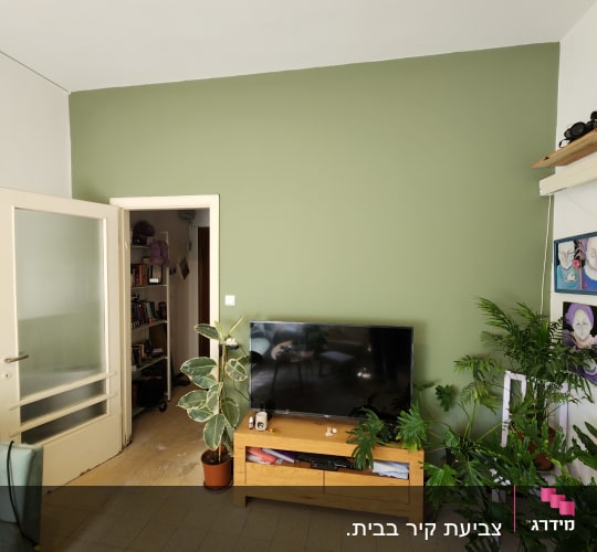 קיר צבוע בירוק בהיר עם טלוויזיה וארון עץ